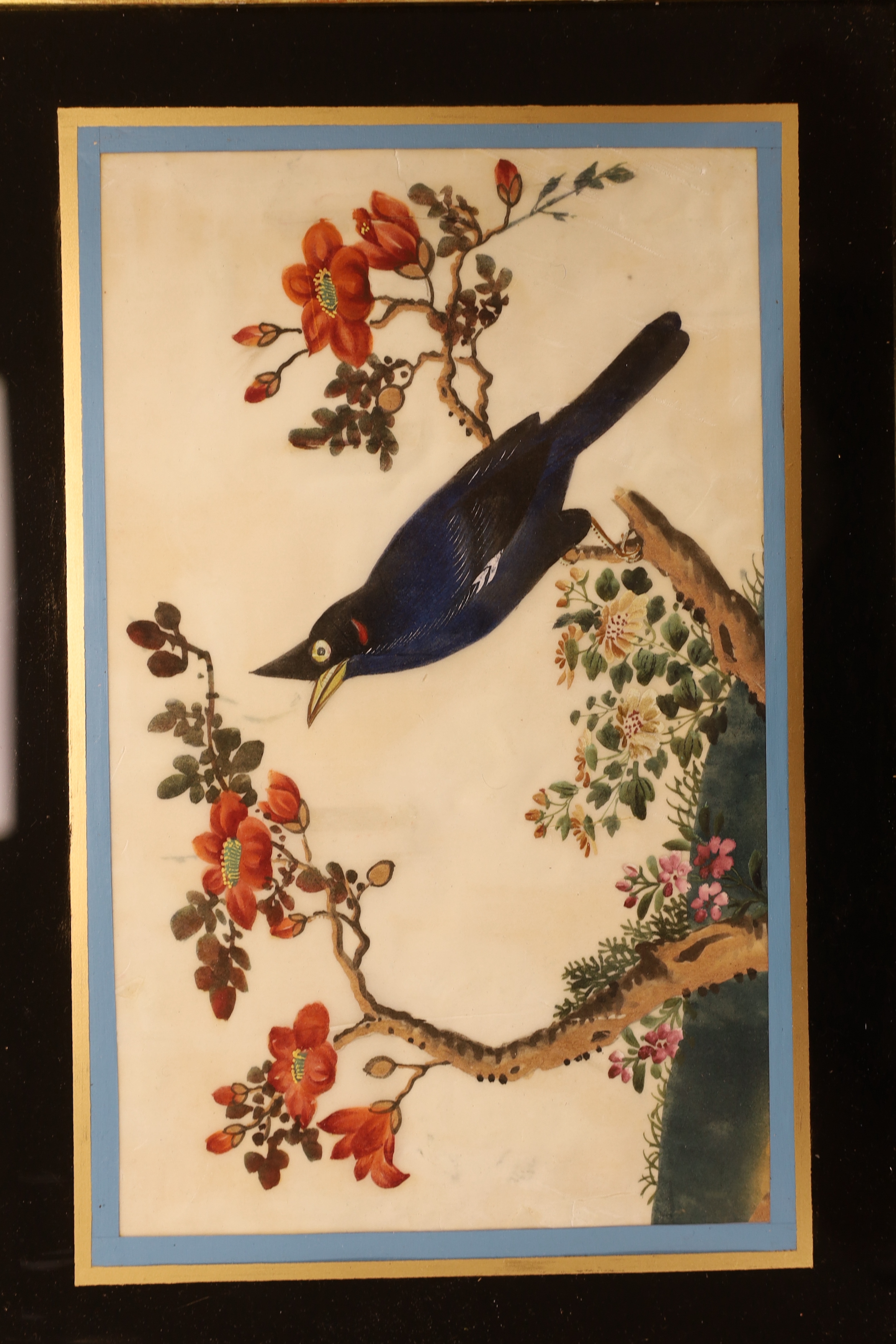 19th century Chinese School, set of six pith paper paintings, Birds of paradise amongst flowers, 17 x 28cm